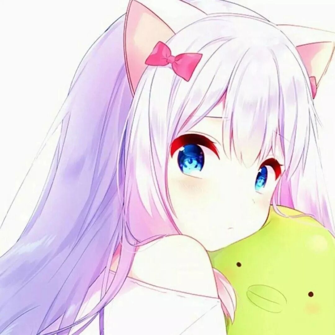 关于我公会小浅机器人暂停开放通知